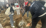 外院学生参加植树节活动