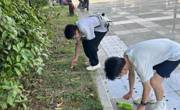 老司机
北校区61期团校实践活动